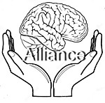 Центр Альянс: наша деятельность